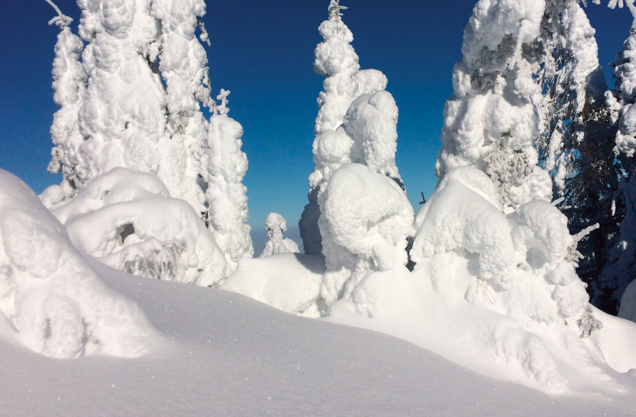 Deep Snow & Tree Well Safety